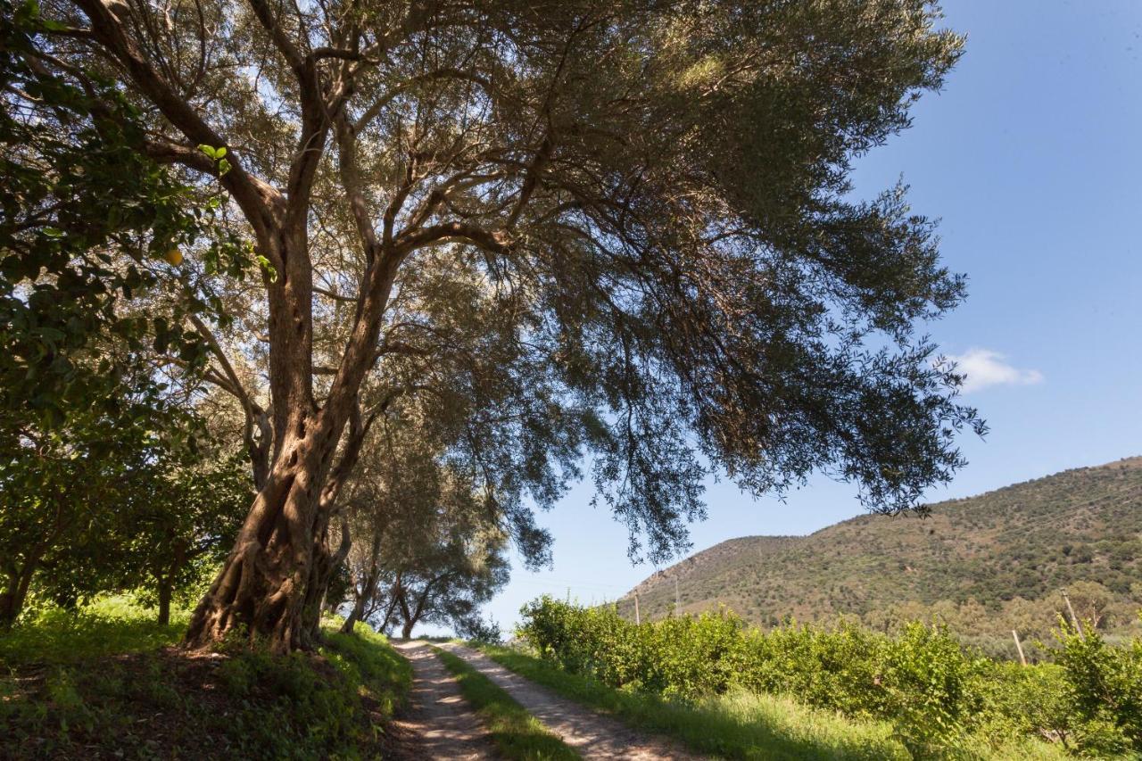 منزل الضيف Capri Leone  في Agricontura المظهر الخارجي الصورة